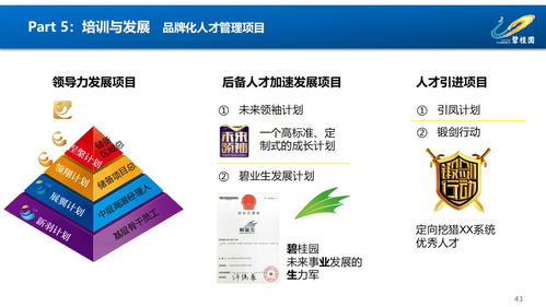 賦能組織，驅(qū)動未來 鳳廠人力資源管理體系構(gòu)建與優(yōu)化